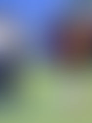 Cafetaleros cierra torneo en casa