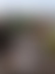 Brasil aprovecha navío militar de EU para enviar ayuda a damnificados por inundaciones