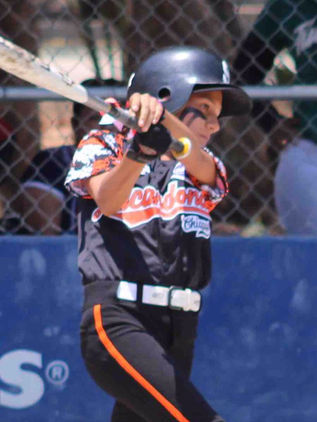 Vuelven a la actividad