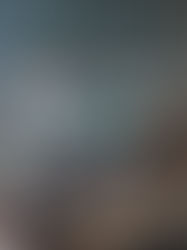 Colectivo se estrella contra vivienda en la Bienestar Social