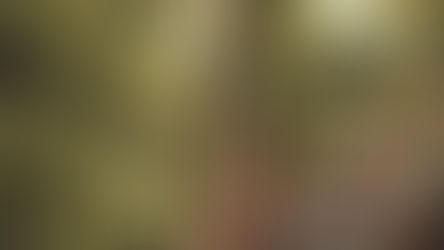 Productores de Plátano y rambután buscan ingresar a Arabia Saudita