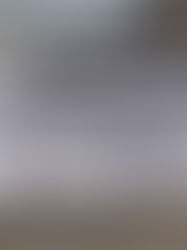 Hay alrededor de 400 migrantes desaparecidas de 2011 a la fecha