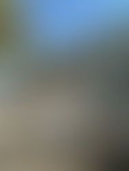 La ONU cree que la cifra de 40.000 muertos palestinos se superó "hace semanas o meses"