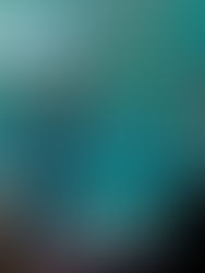 López Obrador rompe veda para denunciar compra de votos y al ente electoral