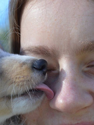 Besos de mascotas pueden causar enfermedades