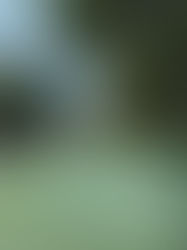 Lugares para quitarse el calor sin ir lejos de Tuxtla