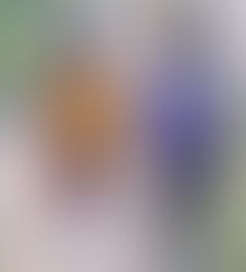 Chiapas aporta el primer lugar en menores repatriados de Estados Unidos  