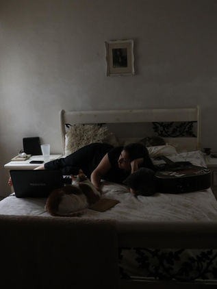 El monstruo marino que habitaba las aguas peruanas hace 36 millones de años