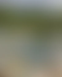 SMAPA garantiza el servicio de agua potable a la ciudad durante contingencia