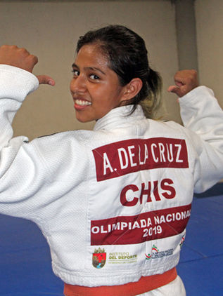 Van dos a Panamericano