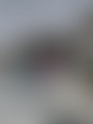 “Es federación, no anexión la de Chiapas a México”: Mario Nandayapa