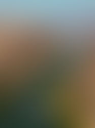 ¡Descubre Chiapas con precaución y cuidado!