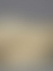 Precio de la tortilla podría aumentar luego de las elecciones