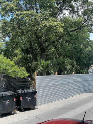 Remodelación del Parque de la Marimba no implica derribo de árboles, aseguran autoridades 