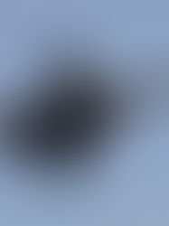 Rusia pagará 170.000 dólares por cada uno de los primeros F-16 derribados en Ucrania