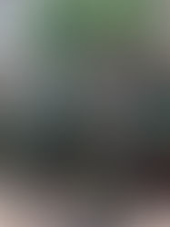 Los militares derrocan al presidente de Guinea-Conakri en un golpe de Estado