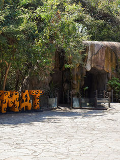 Dan luz verde para reapertura del zoológico 