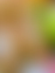 Investigan aprovechamiento de frutos locales y sus residuos