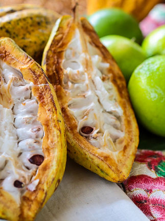 Investigan aprovechamiento de frutos locales y sus residuos