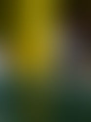 Aún está pendiente la distribución del “abate”