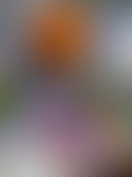 Esferas artesanales elaboradas marcan la magia navideña