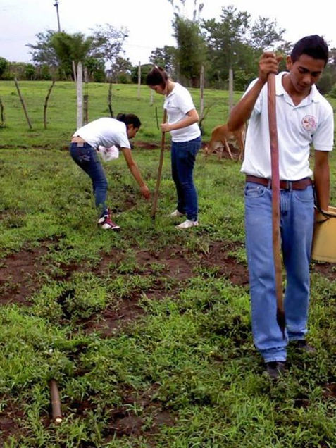 Reclutan a chiapanecos para labores agrícolas en otros estados