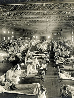 Pandemias, nuestra vida paralela a los virus