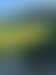 Surgen nuevos problemas para Mazatlán FC