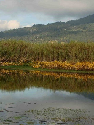 Manantiales de SCLC se secarían en menos de una década
