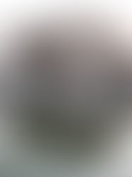 Guía cultural de Qatar 2022: de Maradona a la rosa del desierto