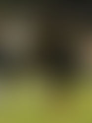 Duro descalabro para Cafetaleros