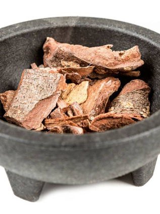 Descubren que el cuachalalate ayuda inmunológicamente a combatir el cáncer