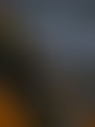 Llega a México un avión con repatriados desde Ucrania