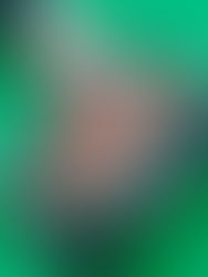 Jóvenes mexicanos fabrican prototipo de plancha sustentable que ahorra 90% de energía