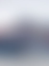 Buque que chocó contra un puente en Baltimore tiene 56 contenedores con material peligroso