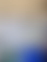 Luis Daniel monta “Paletería Jurásica”