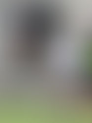 Cafetaleros a duplicar esfuerzos