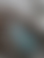 Precio de la vivienda suma alza del 4,4 % en el año y sube 4,9 % en noviembre