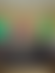 Congreso eleva a rango constitucional las consultas populares