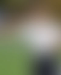 Se alistan para el debut