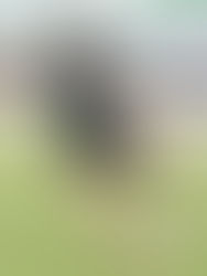 A mantener paso perfecto