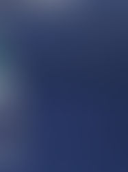 Federer se baja de los Olímpicos