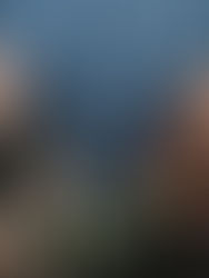 Cecilia Cancino, rescatando a cultura a través de la música