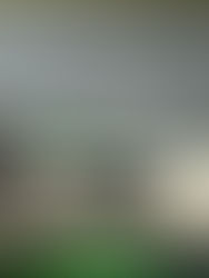 El virus del Zika es eficaz para tratar, en ratones, un tipo de cáncer infantil