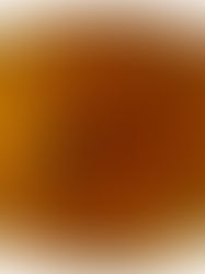 Caracol con pelos preservado en ámbar de 99 millones de años