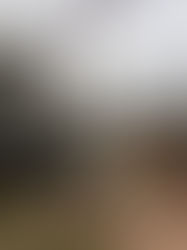 Rusia asegura haber eliminado a todos los saboteadores de Belgorod