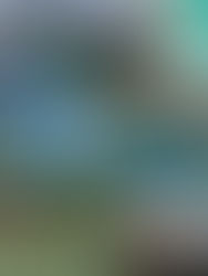 Turismo en Chiapas: un compromiso que nos involucra a todos