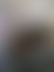 Recuperados de Covid-19 se niegan a donar plasma