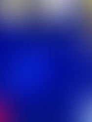 Un tiroteo en un local de Testigos de Jehová en Hamburgo causa al menos 6 muertos