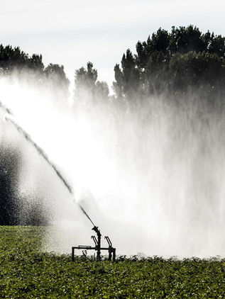 Alertan de que hará falta un 35 % más de agua para alimentar al mundo en 2050